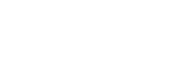 ZingBizz